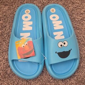 Sesame Street Blue Cookie Monster Slides